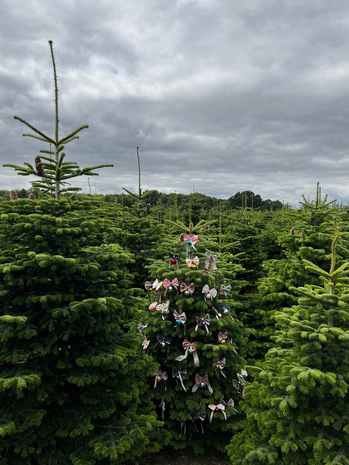 Julekugle med sløjfe - Nr. 38